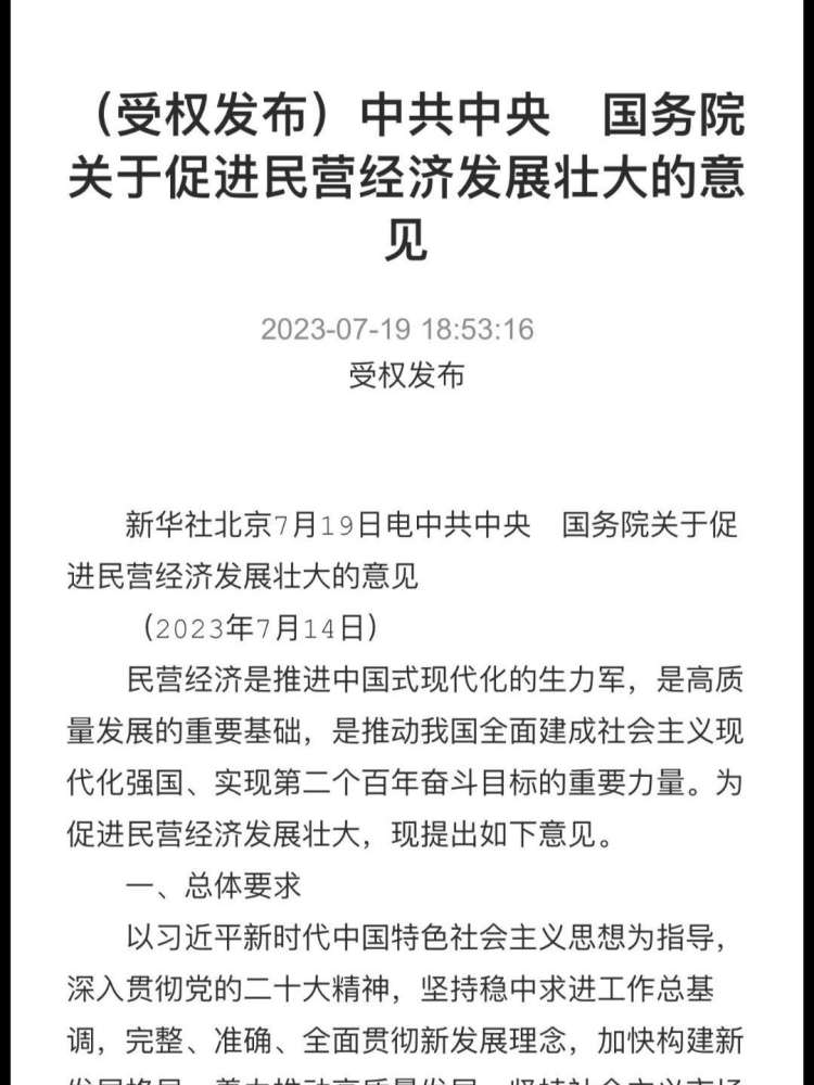 中共中央 国务院关于促进民营经济发展壮大的意见