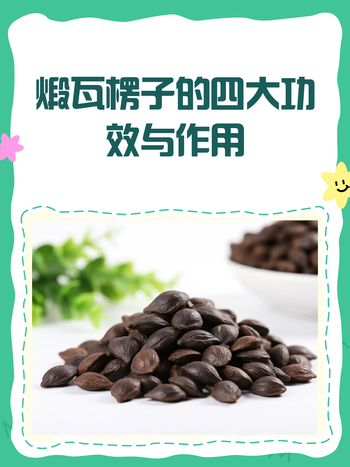 煅瓦楞子,你知道它的神奇功效吗?