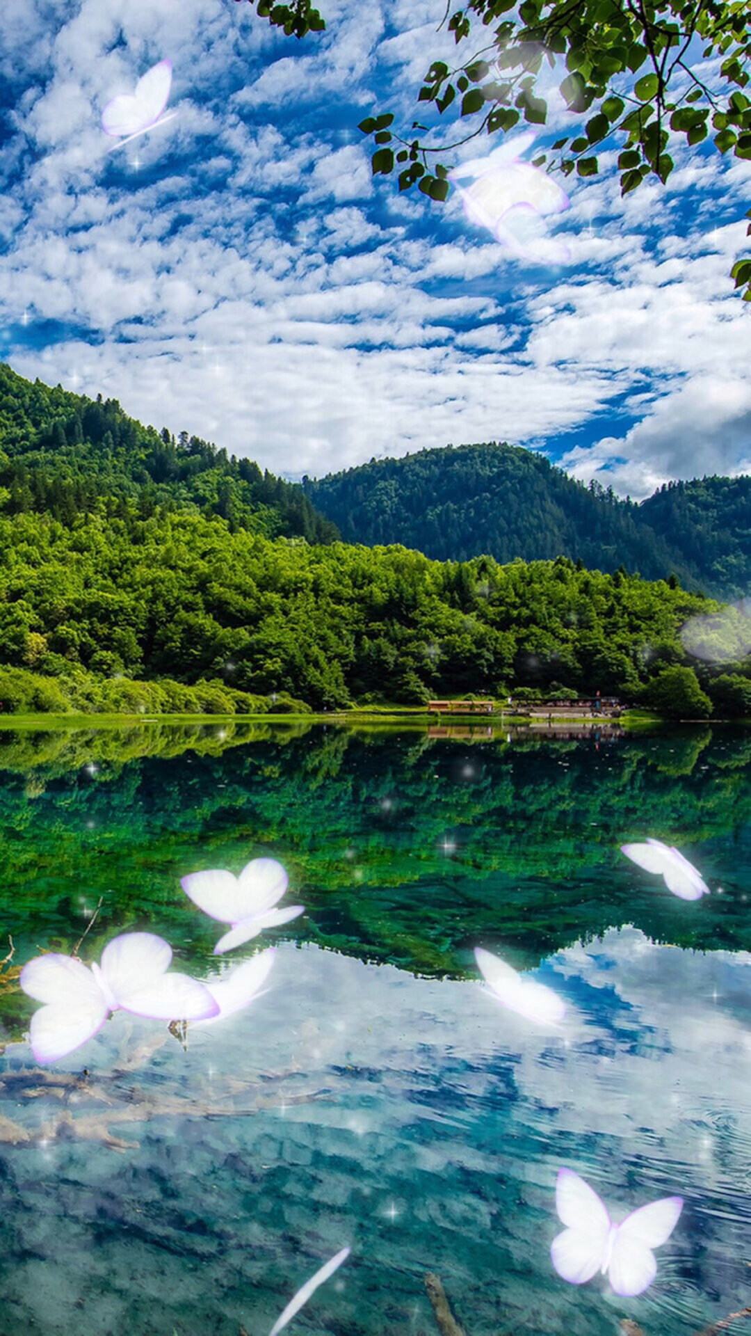 每日科普(学堂词馆)