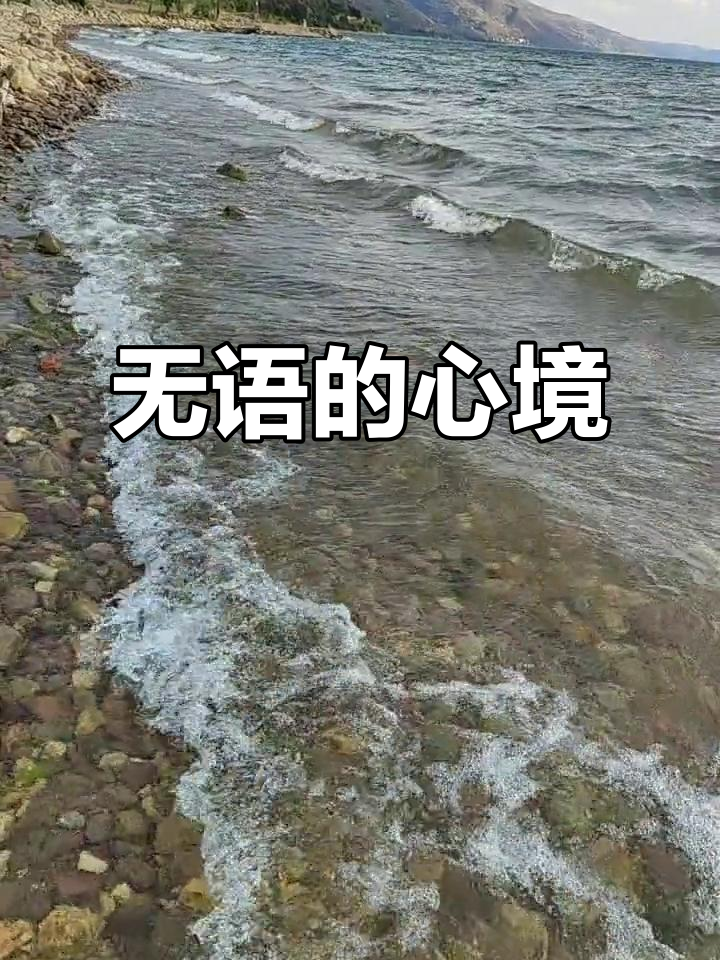无法言喻的心情,言语无表