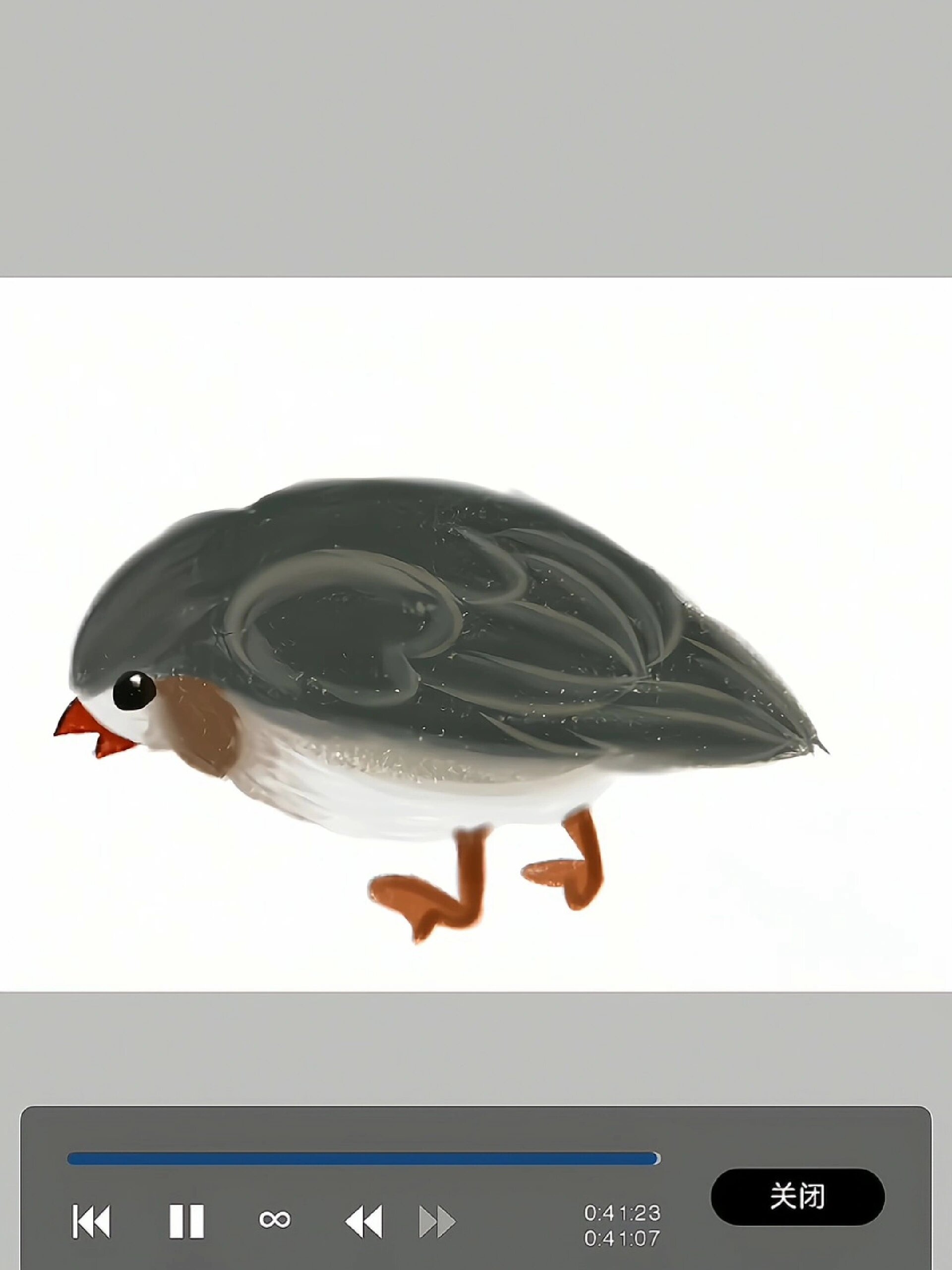 没有课本,画了个珍珠鸟