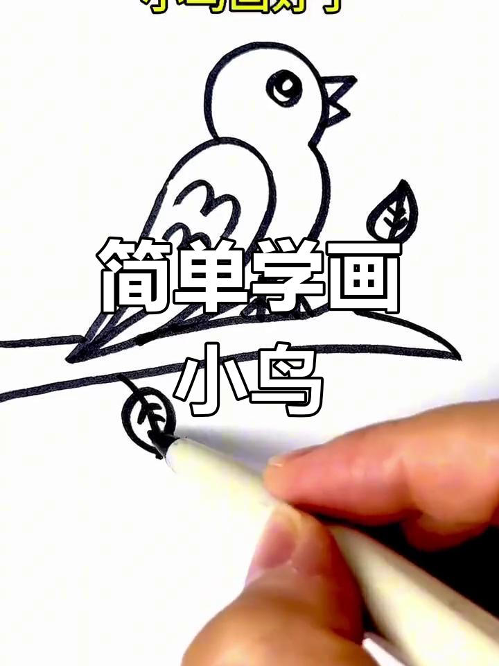 二加三画小鸟数字图片