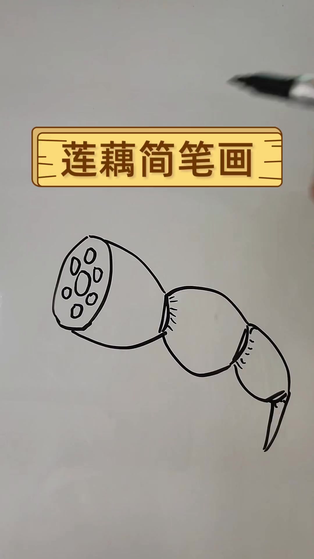 莲藕简笔画