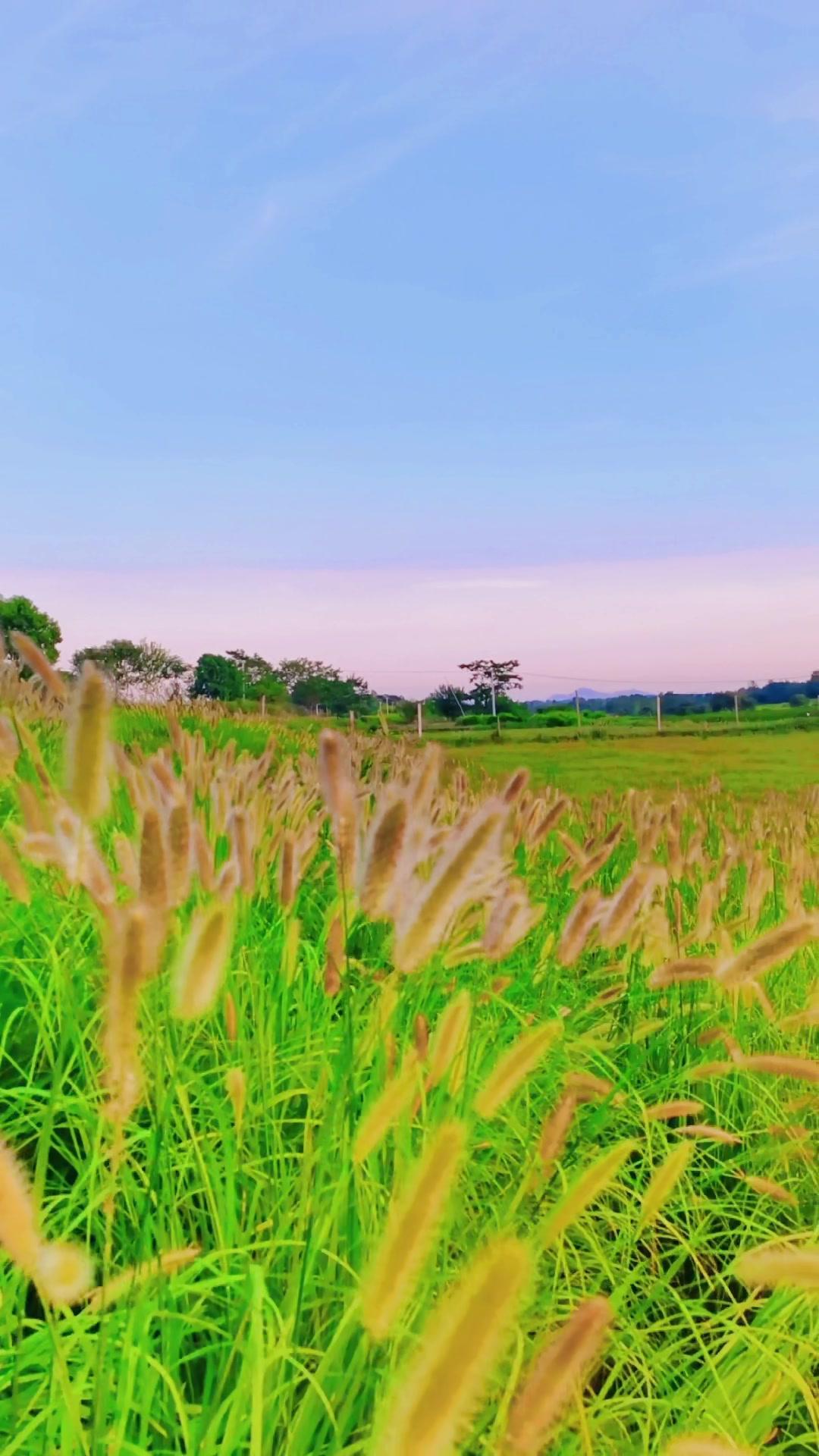 顺其自然风景图片图片