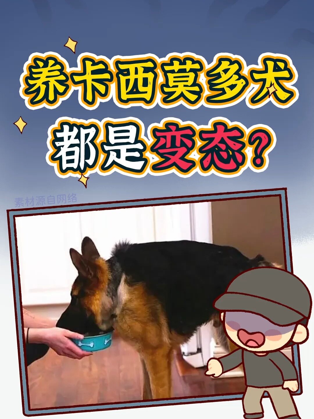 卡西莫多犬是什么?长得这么丑