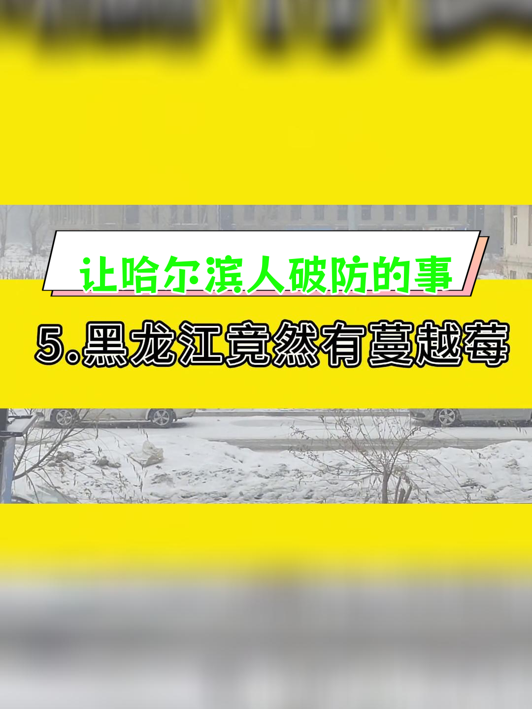 哈尔滨旅游团套路事件真相(哈尔滨旅游团套路事件真相是什么)