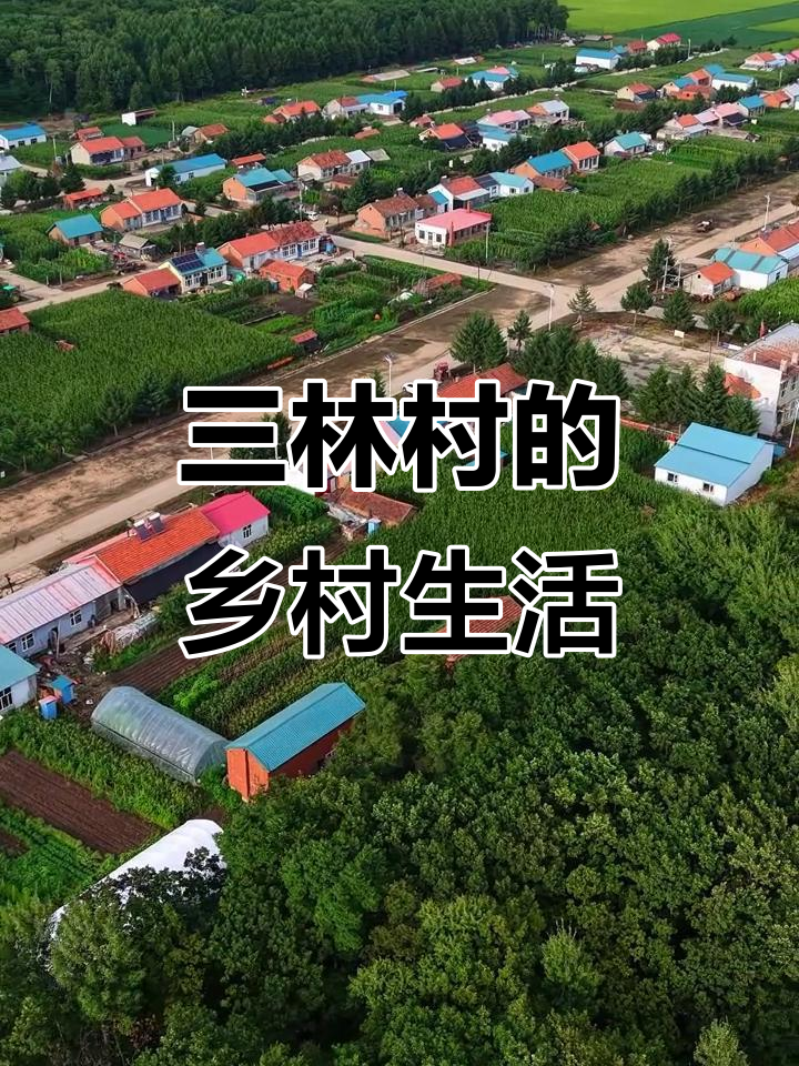 黑龙江虎林三林村,乡村美景与生活的完美融合