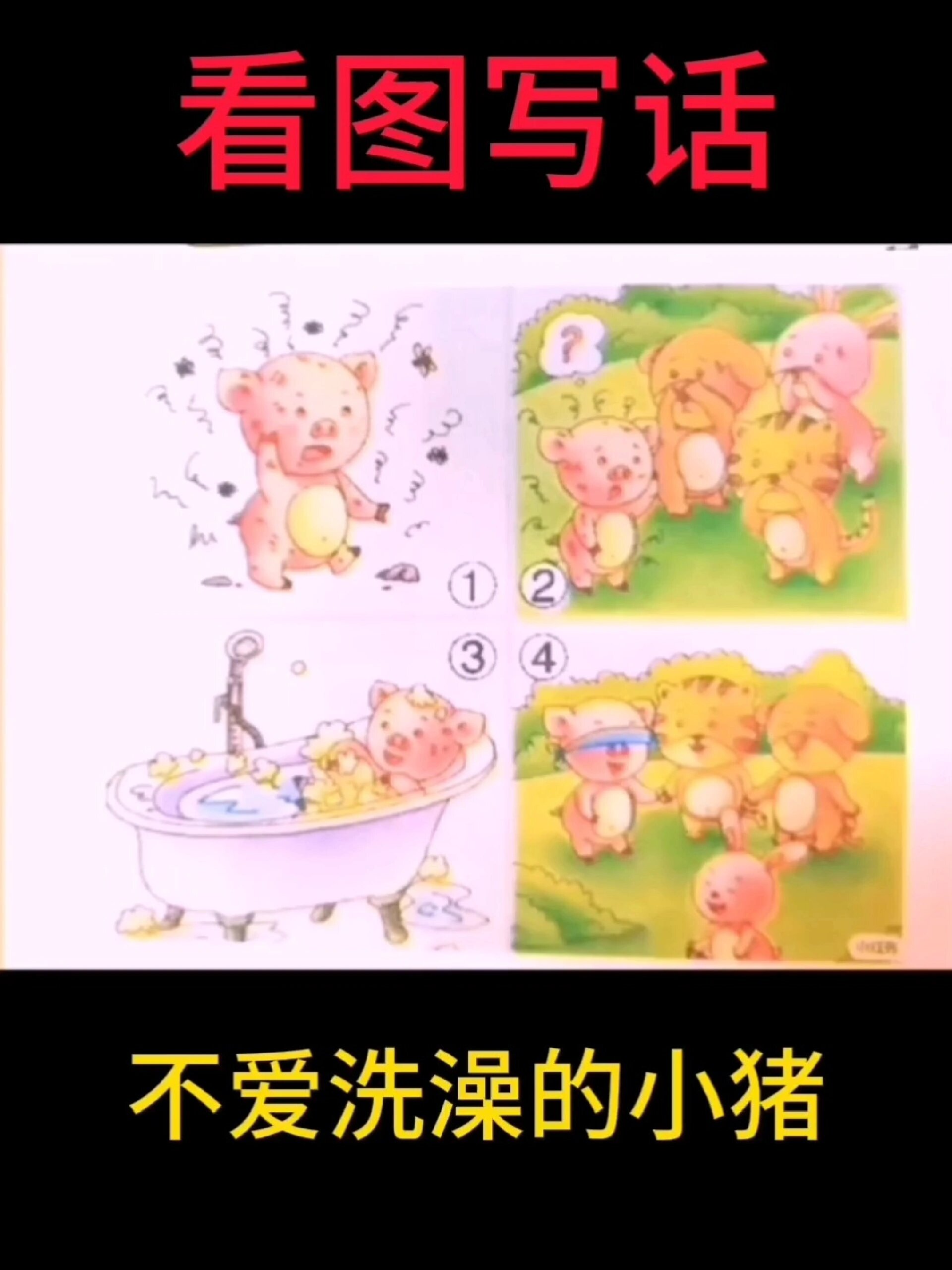 小学作文,看图写话—不爱洗澡的小猪