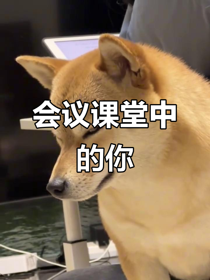 你开会或上课时打瞌睡的样子,是不是像这样?