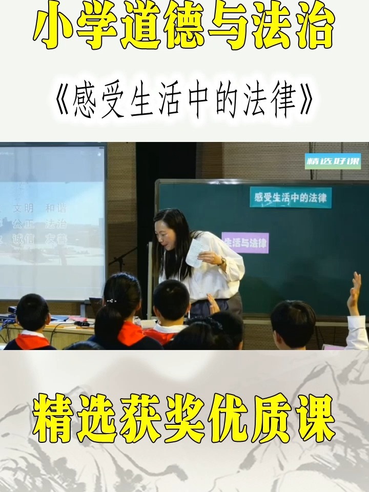 小学道法《感受生活中的法律》公开优质课-度小视