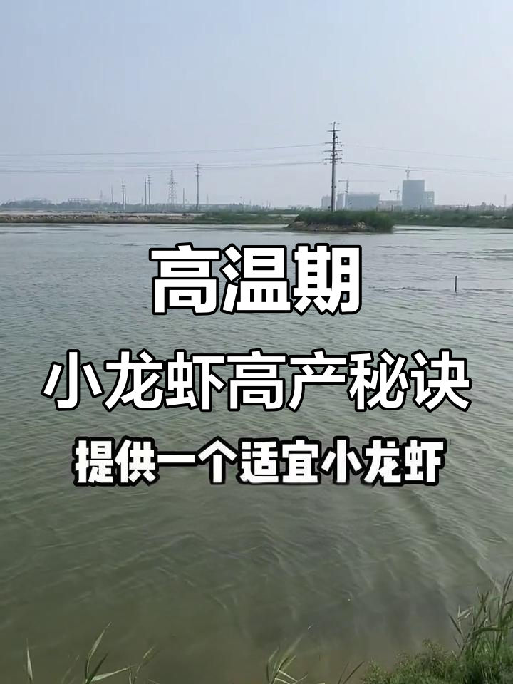 小龙虾前景如何(小龙虾行业发展的趋势)