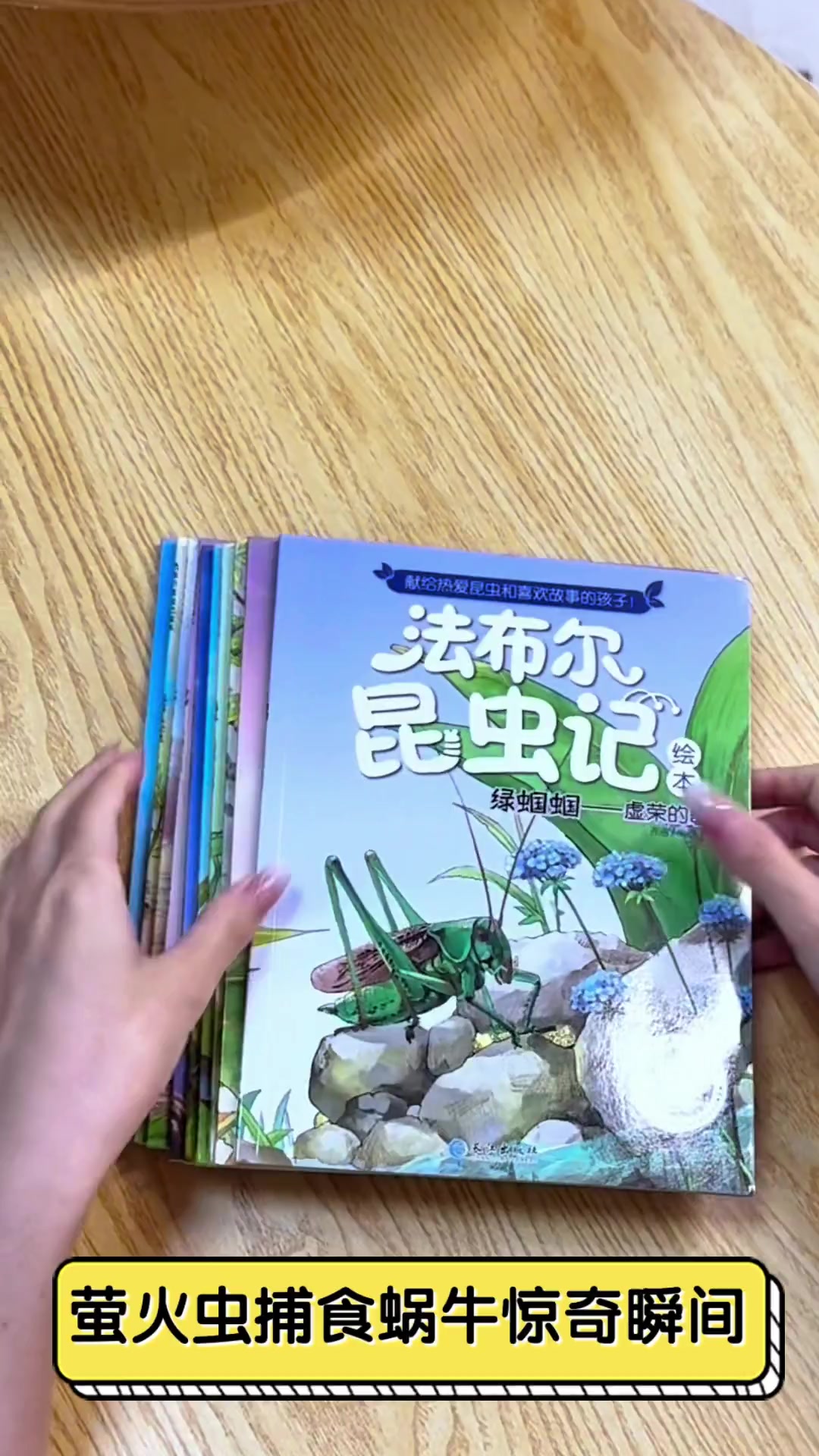 萤火虫捕食蜗牛惊奇瞬间