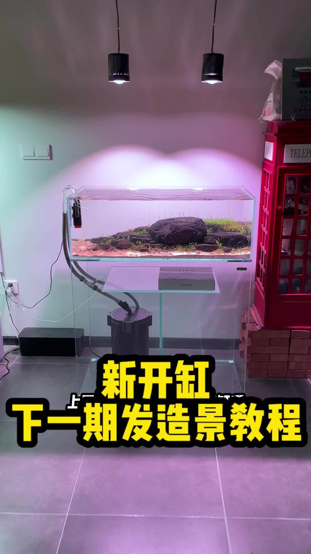 鱼缸开缸养水教程图片