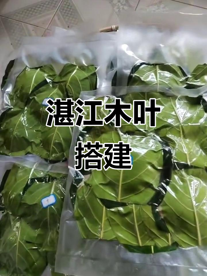 湛江木叶搭:传统工艺与现代设计的完美结合