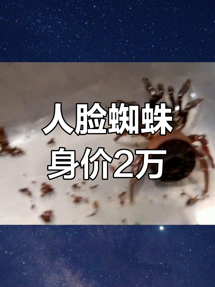 为什么有些人会怕蜘蛛？