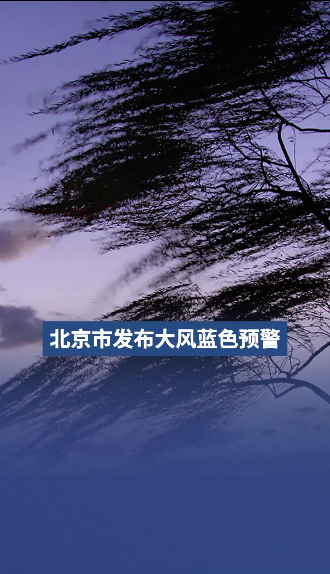 北京市发布大风蓝色预警
