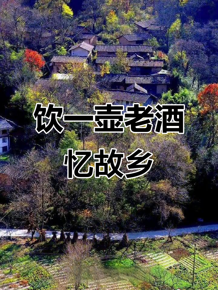 一壶老酒解乡愁,古村庄的记忆悄然消失