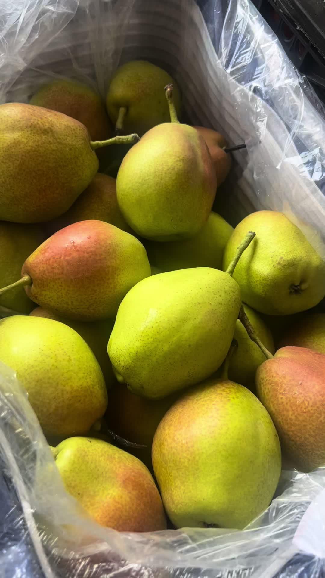 香梨个头大,很甜,都有视频中的那么新鲜哦,4米同城配送哈