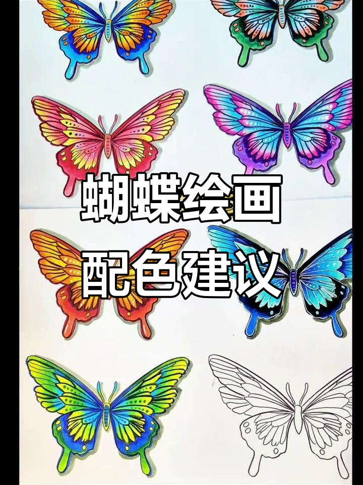 蝴蝶配色大挑战!最后涂什么颜色最合适?