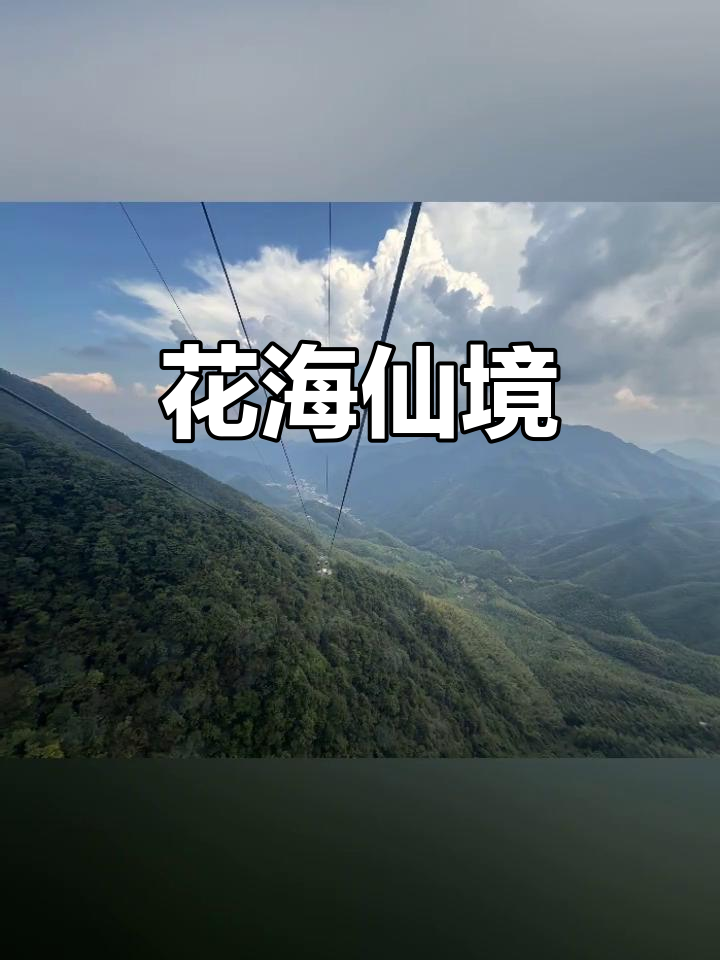 2025年10月7日,绿春湖杜鹃花海与云雾交织成仙境