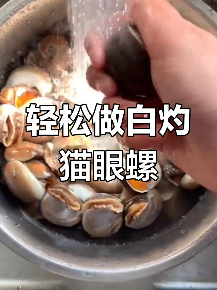 白灼猫眼螺图片