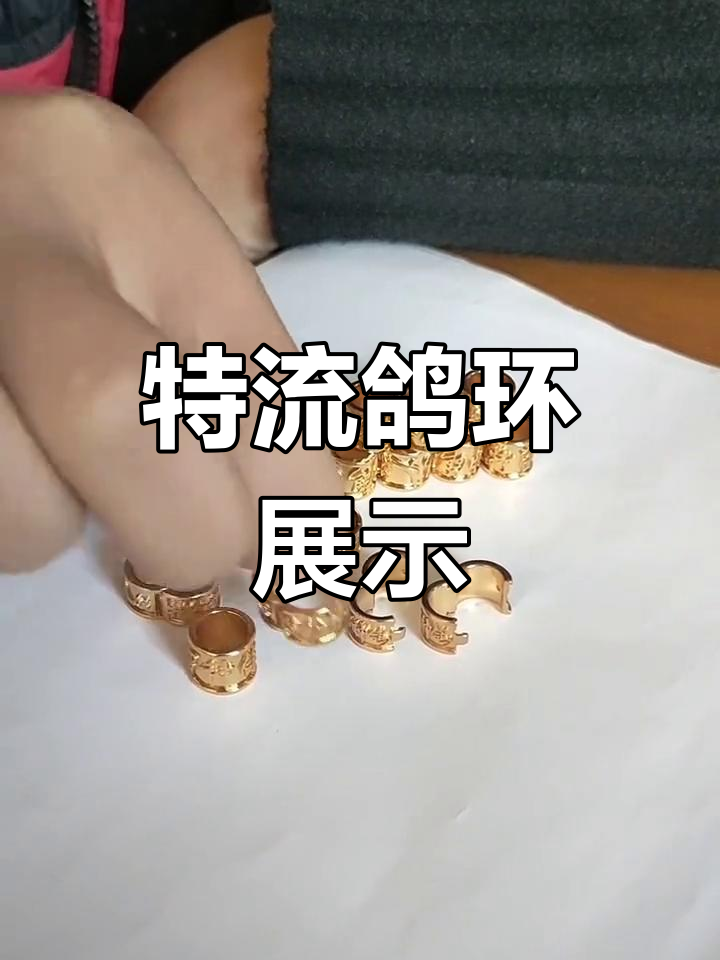 鸽子足环种类介绍