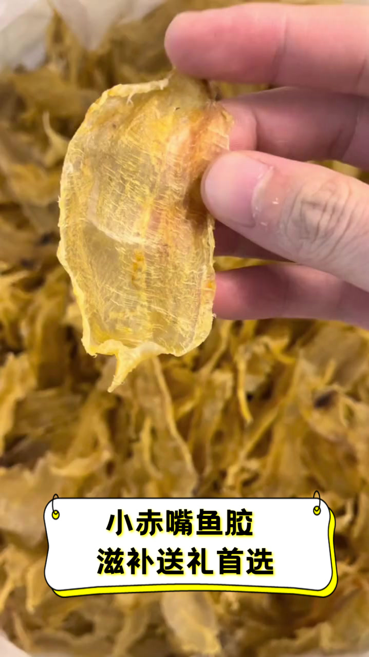 小赤嘴鱼胶,滋补送礼首选