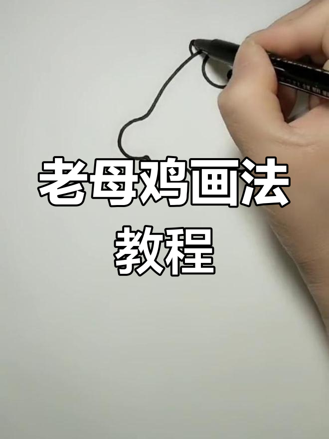 鸡妈妈保护小鸡简笔画图片