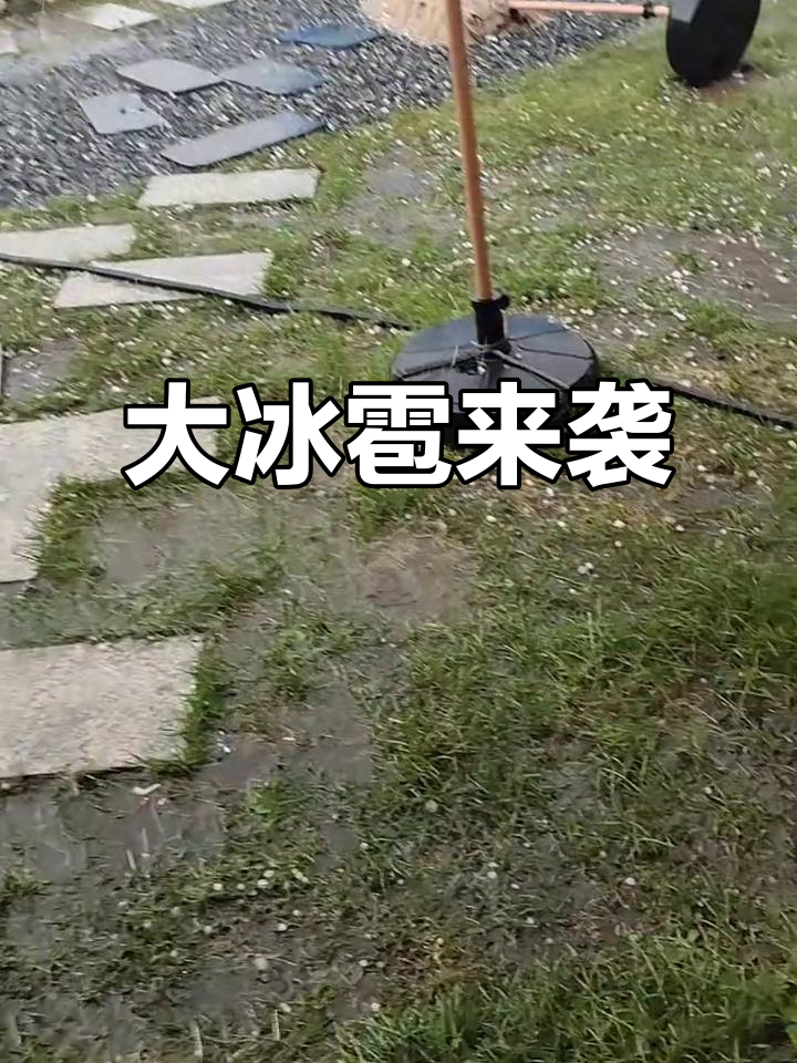 辽宁省沈阳市新民市天气