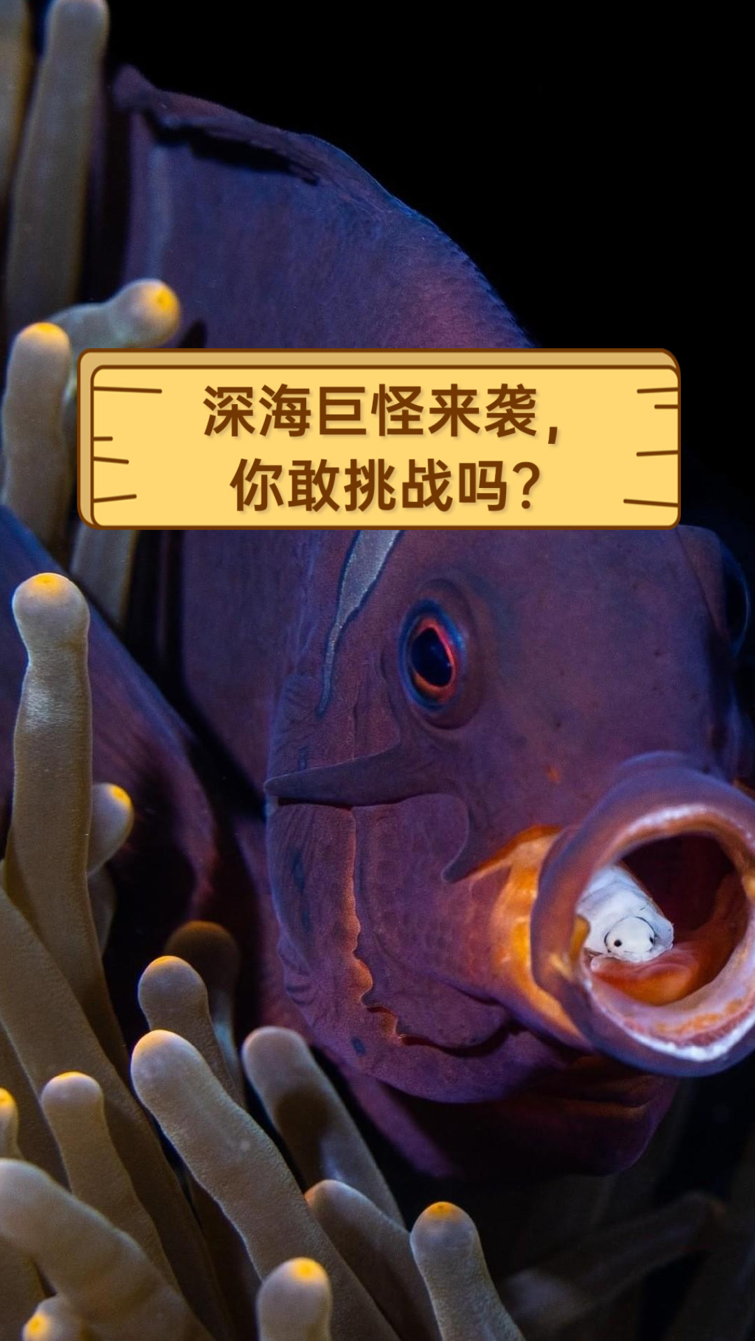 深海巨怪来袭,你敢挑战吗?