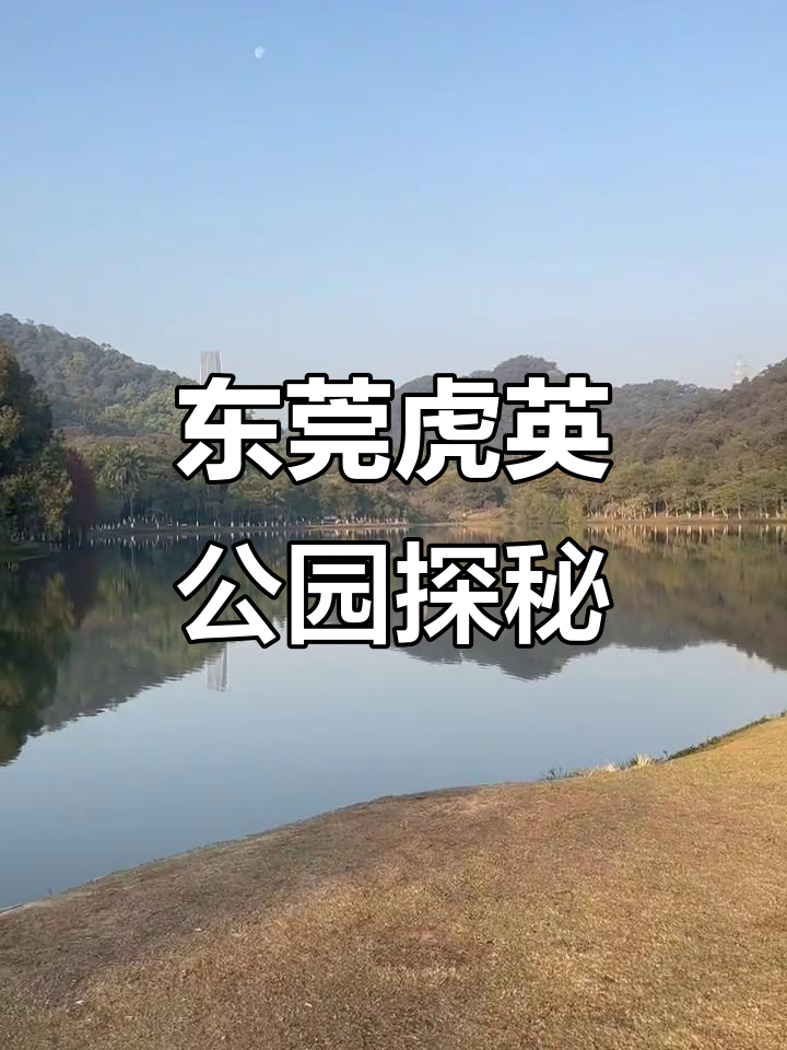 东莞虎英公园:探索自然与文化的完美融合