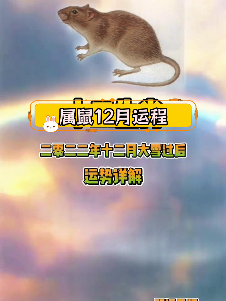 生肖鼠2013运势(生肖鼠近三年运势)