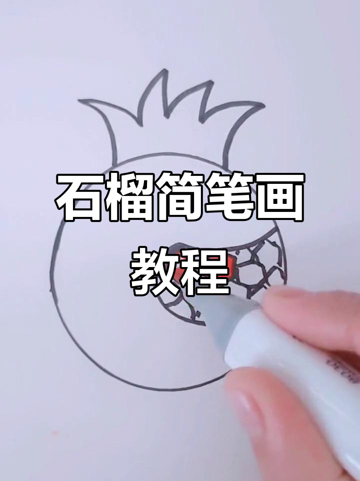 简单步骤教你画石榴,幼儿简笔画轻松上手
