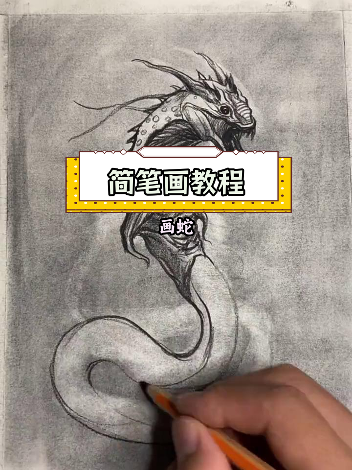 画一条腹肌满满的蛇