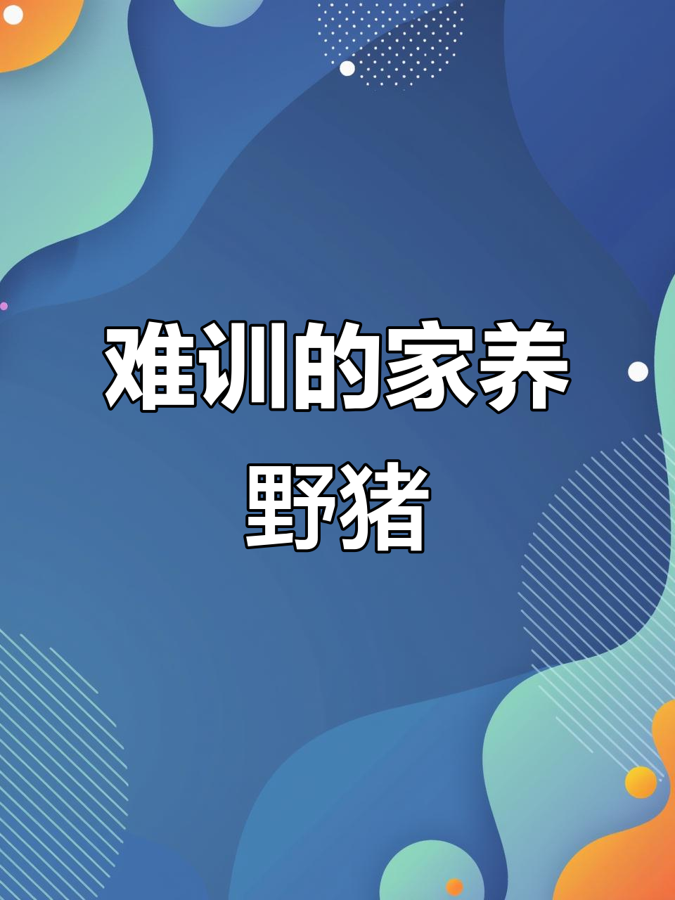 致富经20161227养野猪(致富经关于养猪的视频2019年) 致富经20161227养野猪(致富经关于养猪的视频2019年)