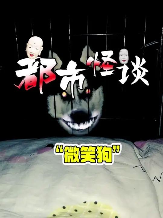 微笑狗的故事你听过吗