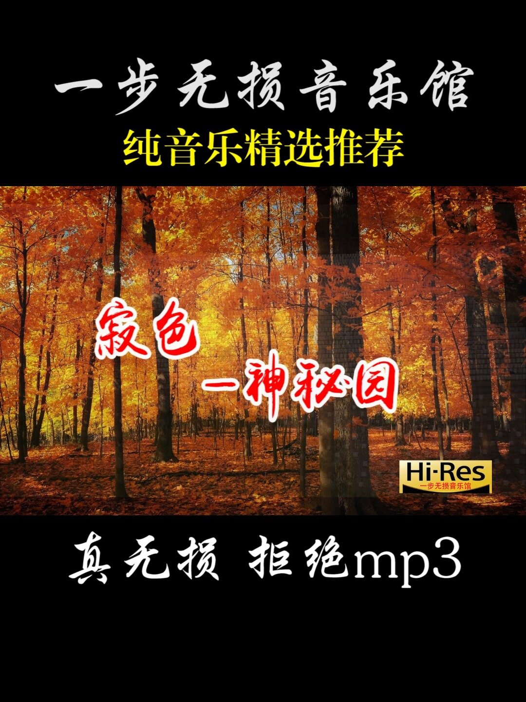 纯音乐精选推荐神秘园小提琴演奏《寂色》