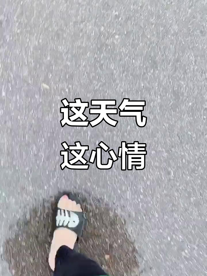心情天气今日情况