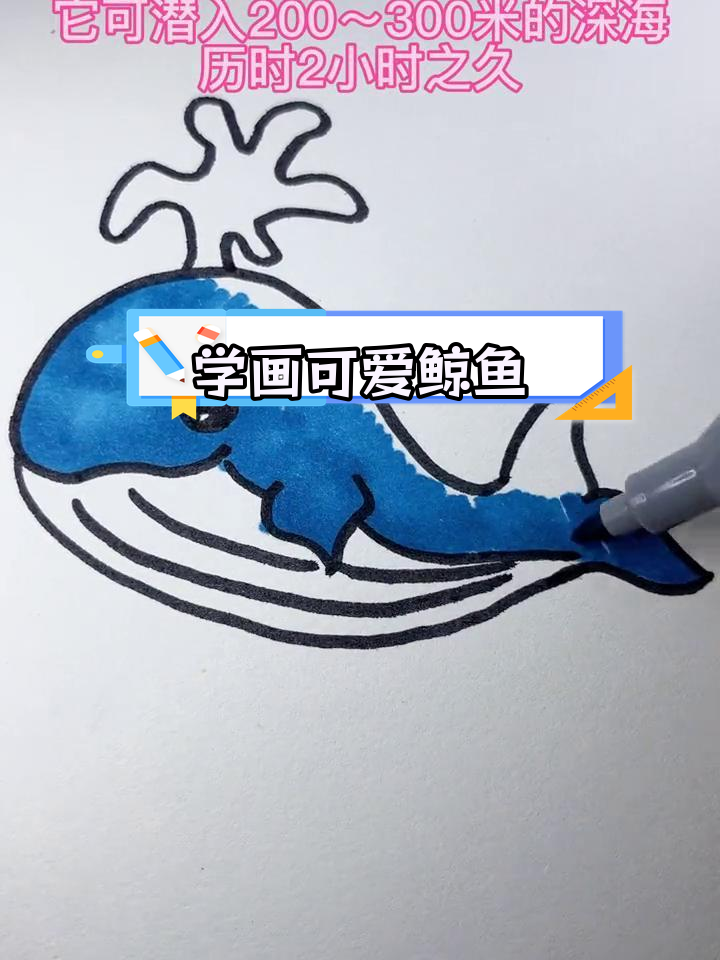 简单鲸鱼简笔画教程