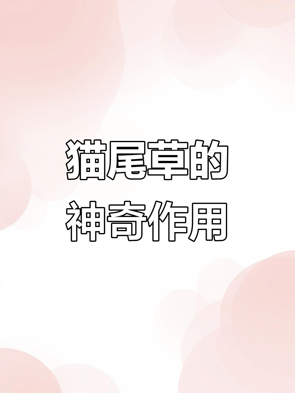 猫尾草:农村常见却功能强大的植物,你了解吗?