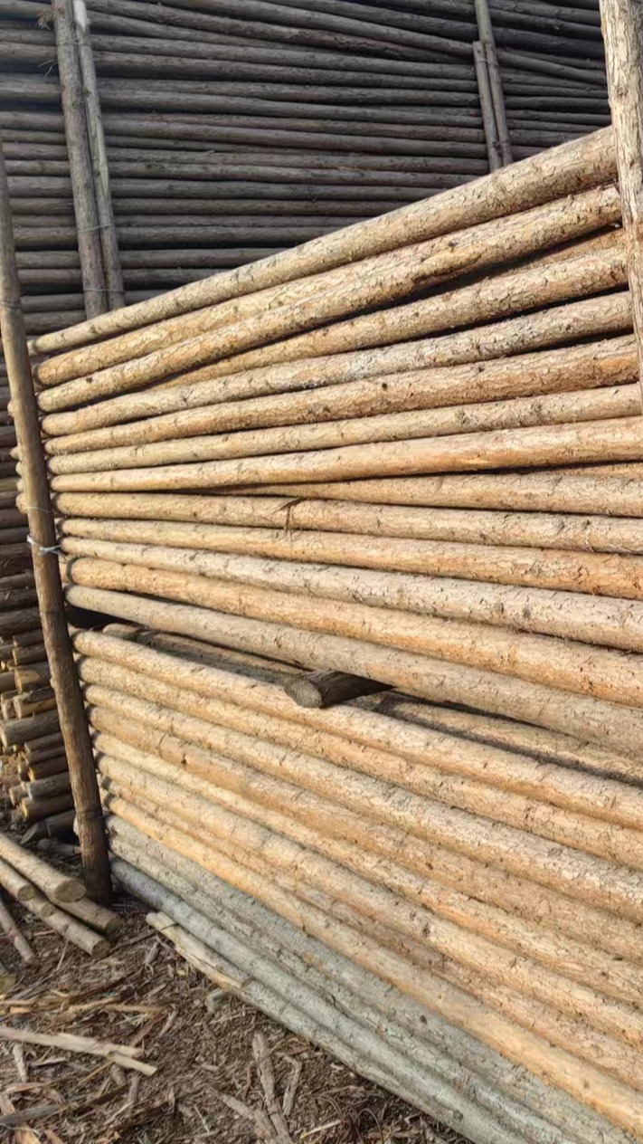 园林绿化杉木杆应采用小头多粗的支撑