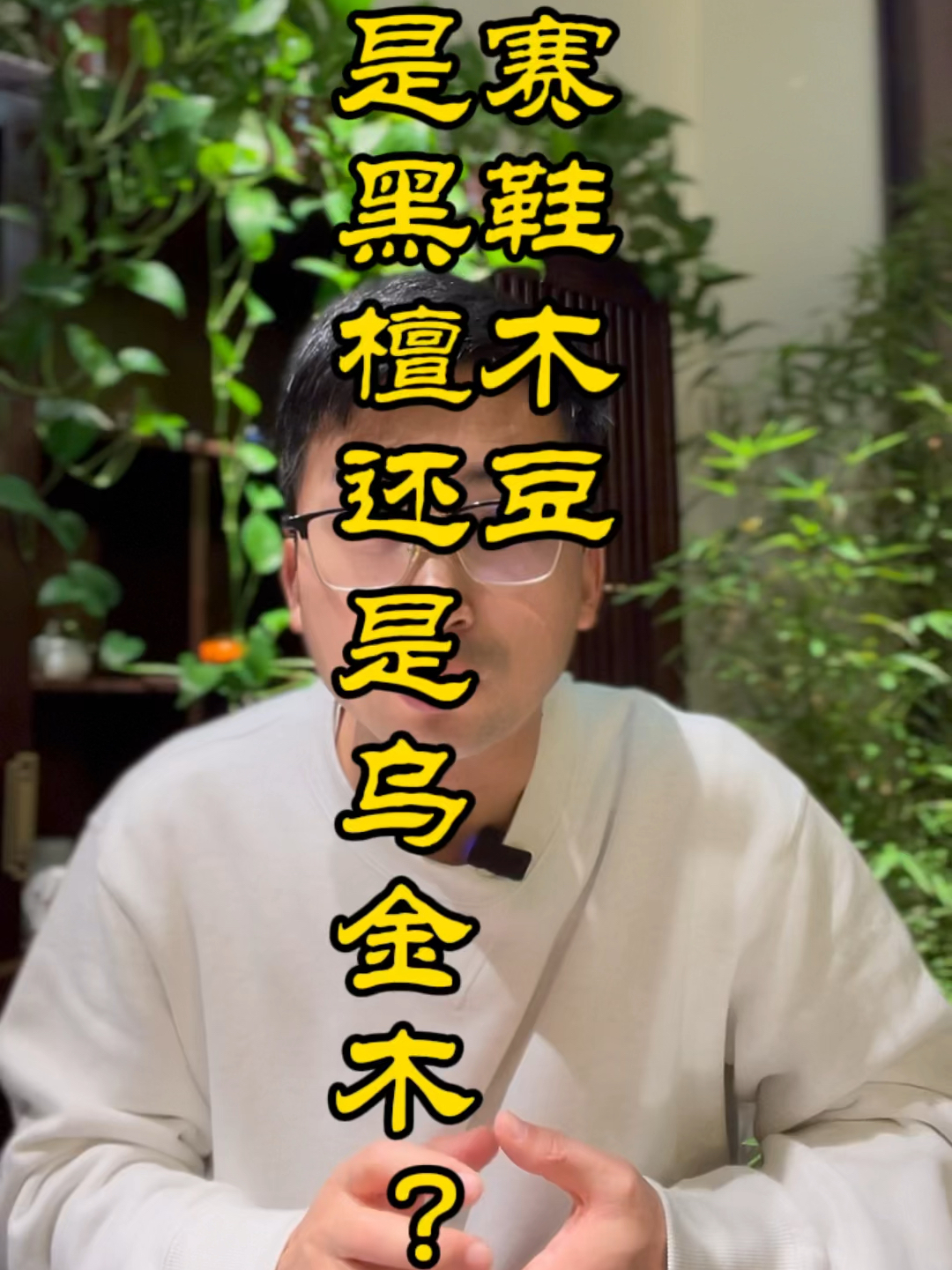 赛鞋木豆是黑檀还是乌金木?