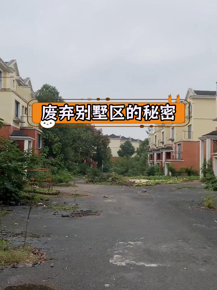 大型别墅区荒废之谜,流浪汉的痕迹