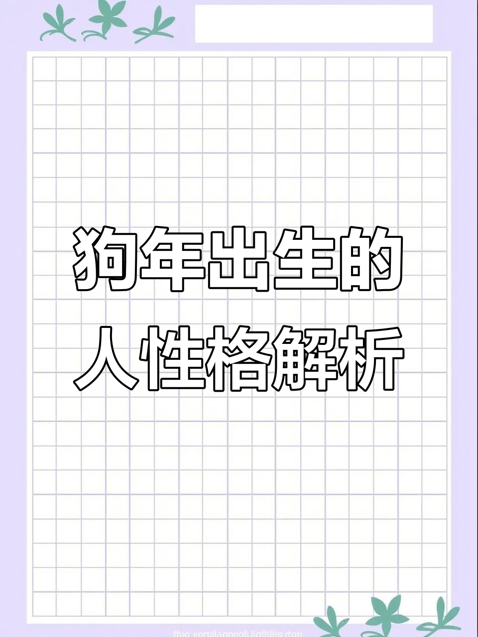 狗的生肖运势1978年(1978属狗2021最危险的几个月)