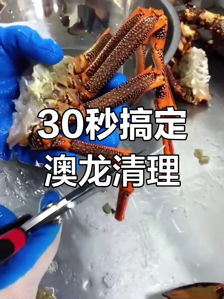 轻松学会澳龙处理技巧,完美去腥步骤全揭秘