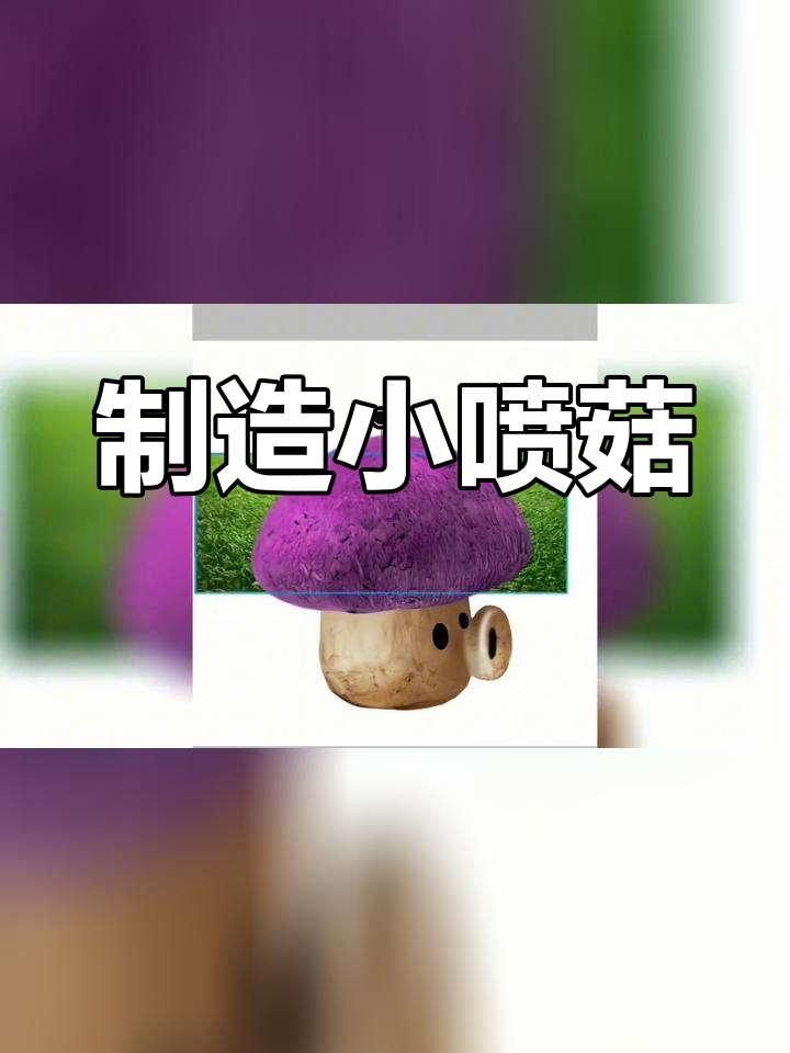 用蘑菇制作小喷菇