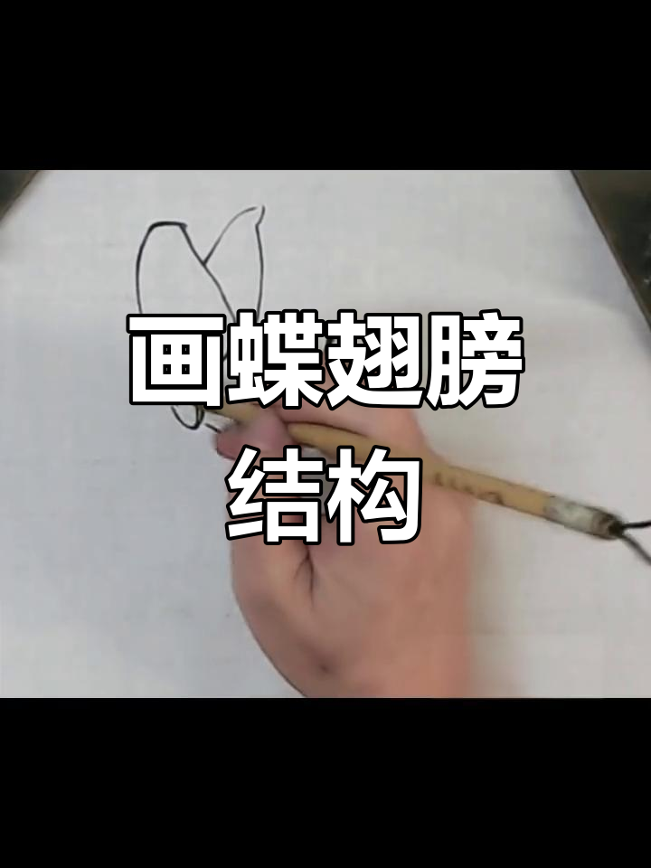 蝴蝶结构解析与绘制技巧