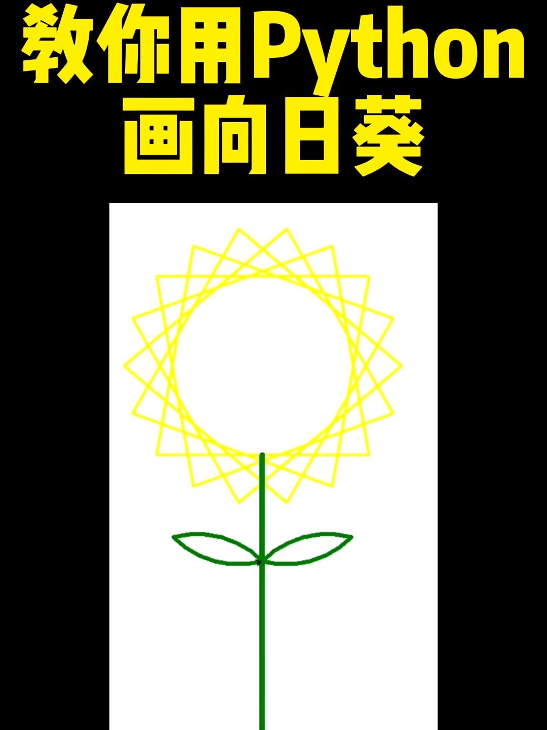 安排|教你用python画向日葵