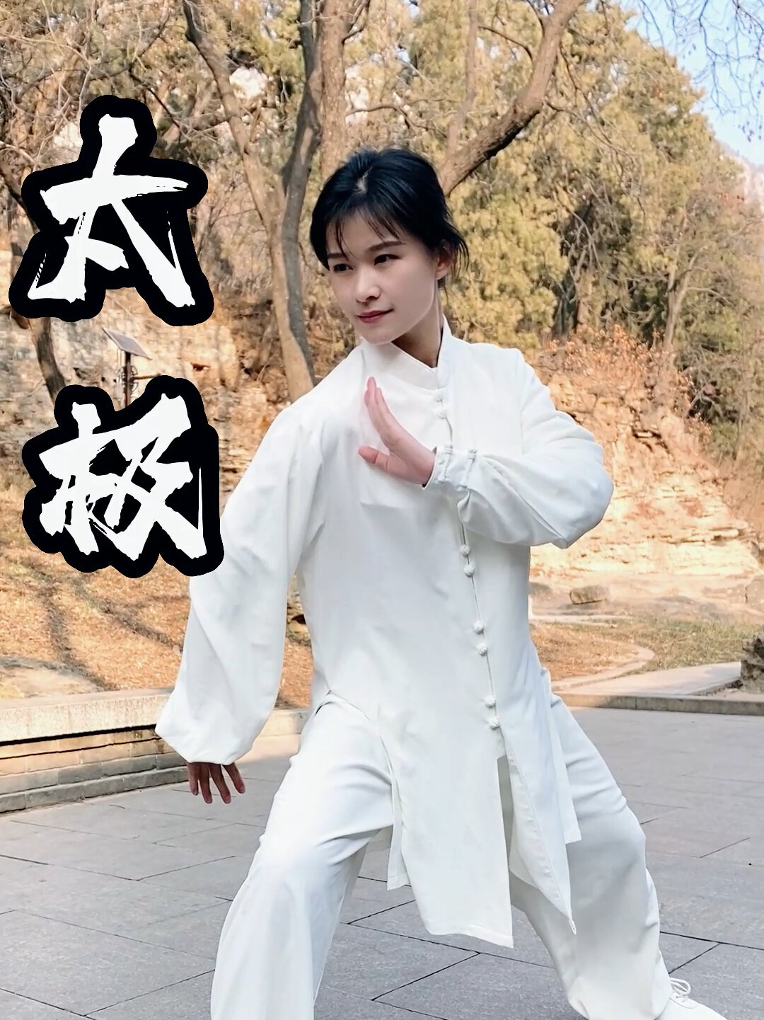 太极拳48散手,松活弹抖,节节贯穿