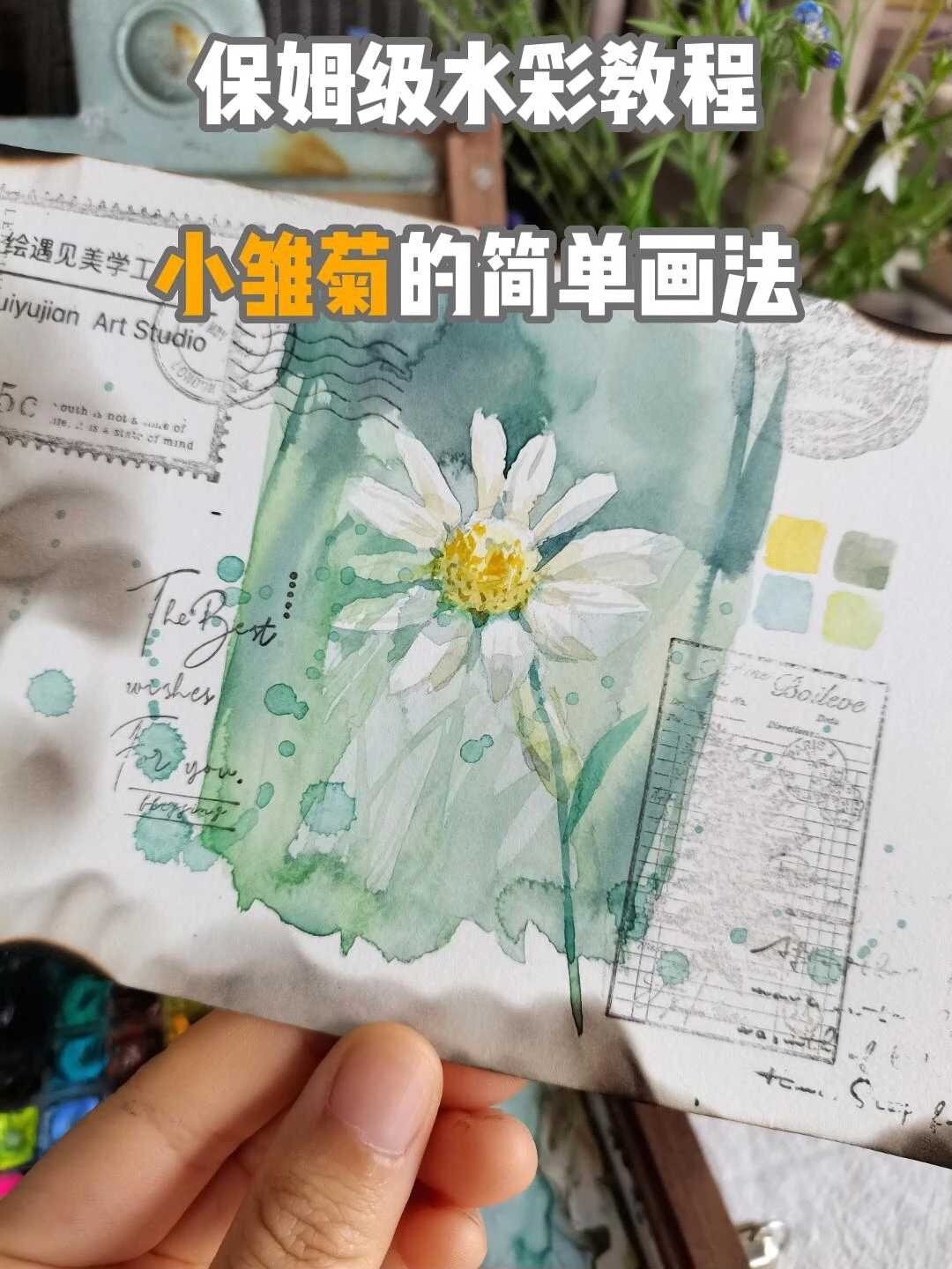 保姆级水彩教程|小雏菊的简单画法